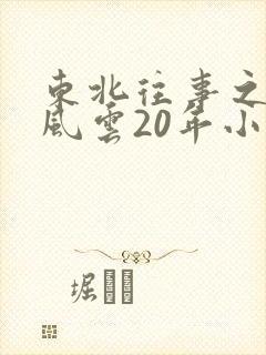东北往事之黑道风云20年小说