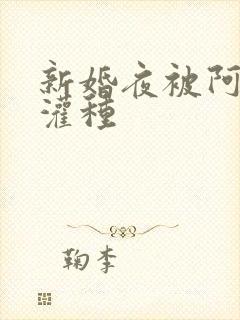 新婚夜被阿龟强灌种封面