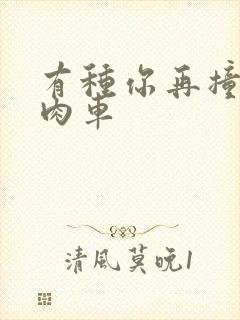 有种你再撞一下肉车