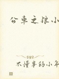 公车之狼小说