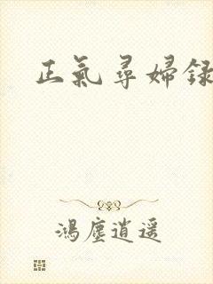 正气寻妇录