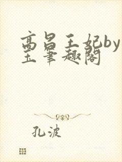 高昌王妃by黛玉笔趣阁