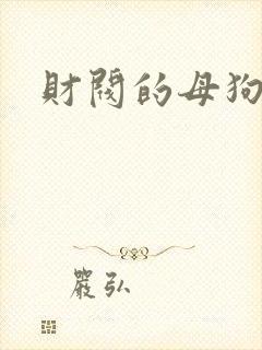 财阀的母狗们