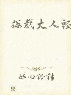 总裁大人轻一点封面