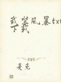 武装风暴txt下载