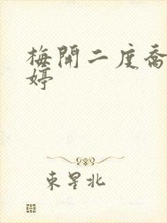 梅开二度乔枫李婷封面