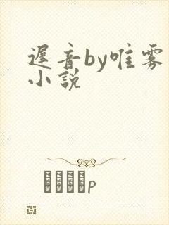 迟音by唯雾的小说