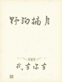 野狗摘月