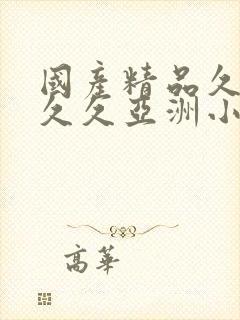 国产精品久久久久久亚洲小说