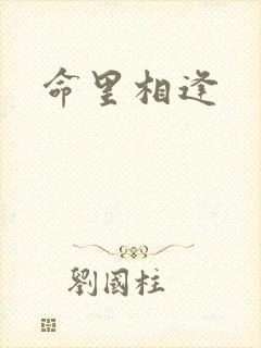 命里相逢封面