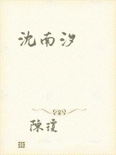 沈南汐封面