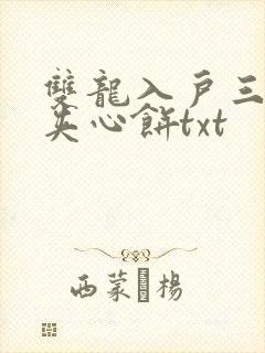 双龙入户三人行夹心饼txt