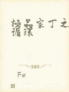 极品家丁之因果循环