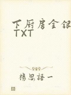 下厨房金银花露 TXT封面