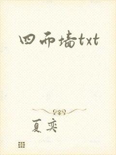 四面墙txt封面