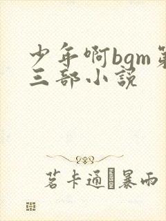 少年啊bgm第三部小说封面