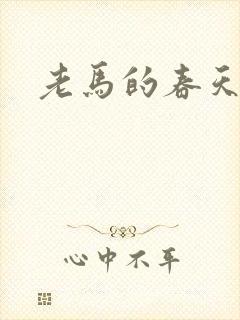 老马的春天封面
