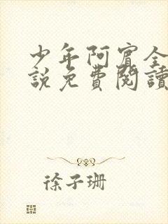 少年阿宾全文小说免费阅读笔趣阁封面