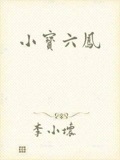 小宝六凤