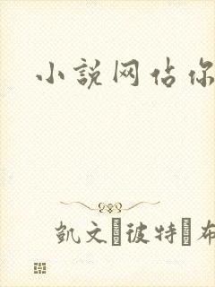 小说网站你懂的