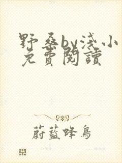 野桑by浅小说免费阅读