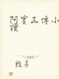 阿宾正传小说在读