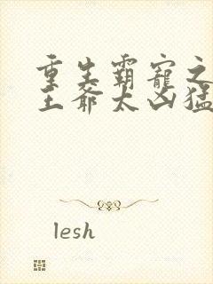 重生霸宠之摄政王爷太凶猛