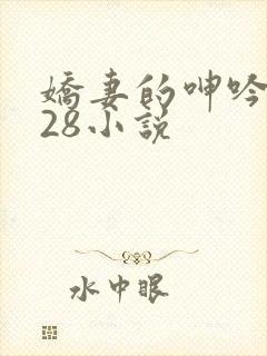 娇妻的呻吟1—28小说