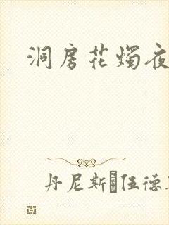 洞房花烛夜小说