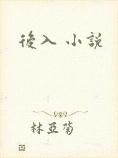 后入 小说封面