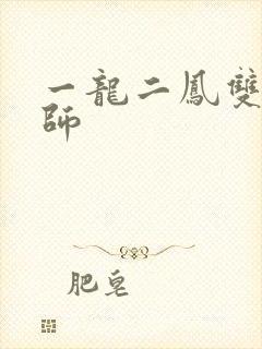 一龙二凤双飞老师