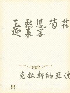 王熙凤菊花门初迎来客封面