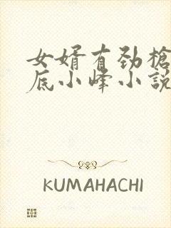 女婿有劲枪枪到底小峰小说