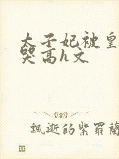 太子妃被皇上c哭高h文