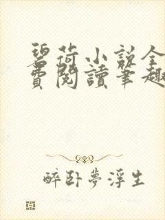 碧荷小说全文免费阅读笔趣阁封面