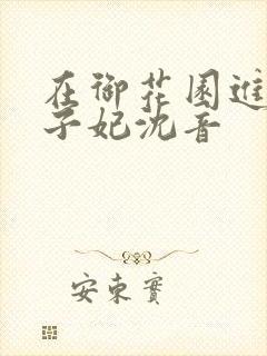 在御花园进入太子妃沈音