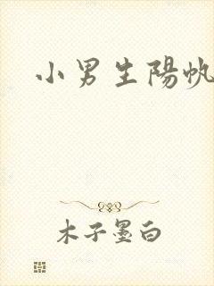 小男生阳帆封面