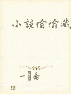 小说偷偷藏不住封面