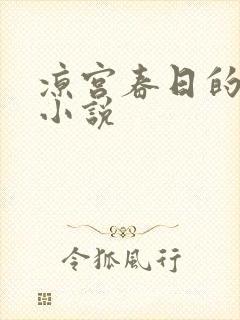 凉宫春日的忧郁小说