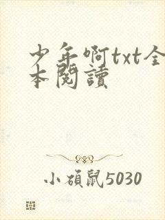 少年啊txt全本阅读