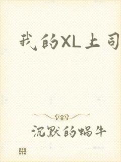 我的XL上司封面