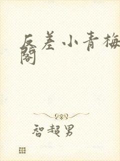 反差小青梅笔趣阁