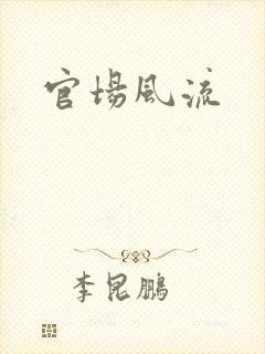 官场风流封面