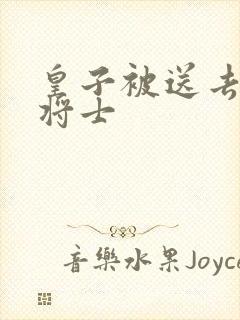 皇子被送去犒劳将士