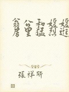 翁公和媛媛在厨房里猛烈进出