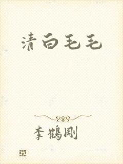 清白毛毛封面