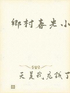 乡村春光小说
