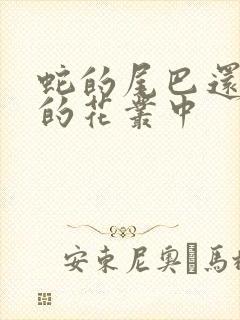 蛇的尾巴还在我的花丛中