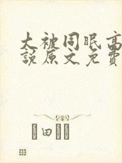 大被同眠高粱小说原文免费阅读