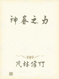 神眷之力